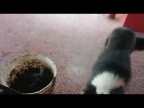 Lluvias en QUITILIPI Chaco