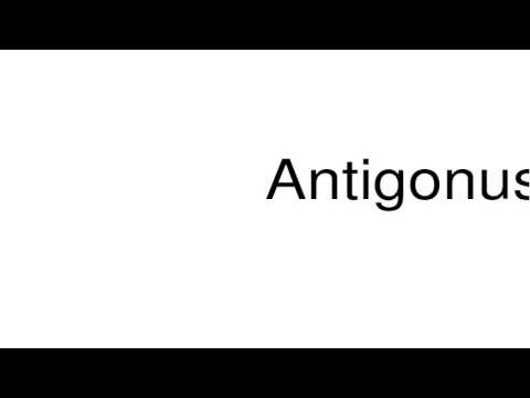 How to pronounce Antigonus