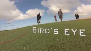 preview picture of video 'Bird's eye'