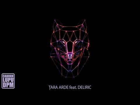 Cabron feat. Deliric - Tara arde (official track)
