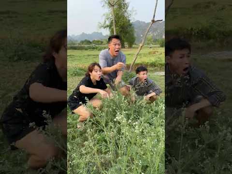 Simple Yet Effective Hunting Tips in the Forest#Survival #Hunting #LifeHacks