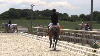 dressage amateur 3 grand prix Trophee d'or