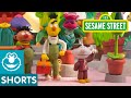 Sesame Street Flower Shop Bert And Ernie S Great Adventures