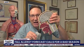 Fall allergy forecast calls for a bad season