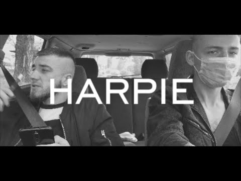 Prvski x Harpie