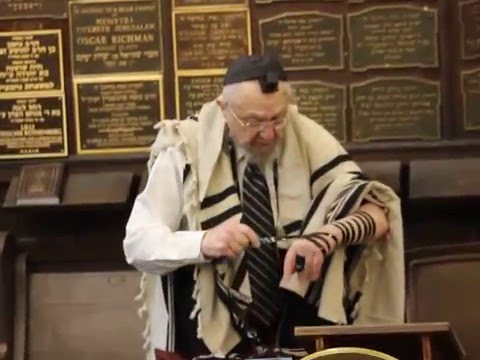 Rav Dovid Feinstein Chol Hamoed 2016