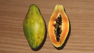 Download lagu Kako se jede papaja? mp3 Download lagu Kako se jede papaja? mp3