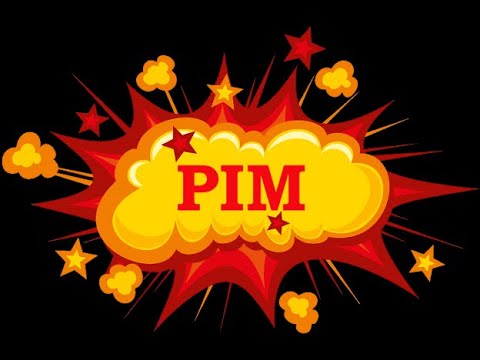 Jogo do PIM