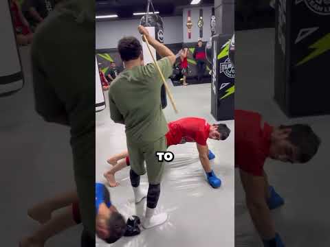 They're Hit With A Stick As Punishment 😏 (@jasco_coach)