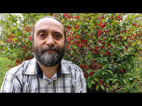 SĂRBĂTORILE SĂPTĂMÂNII | ÎNVIEREA - SE CONTRAZIC SFINTELE EVANGHELII? | UNIVERSUL CREDINŢEI | TVR