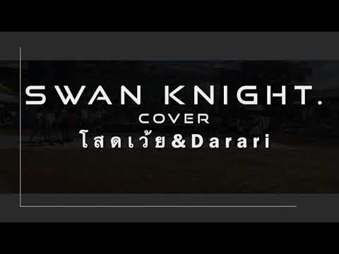 Swan knight Cover โสดเว้ย/Darari