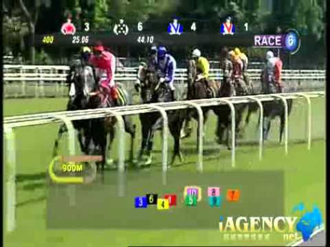 SINGAPORE RACE 06/10/2013 RACE 6 - iAgencyNet