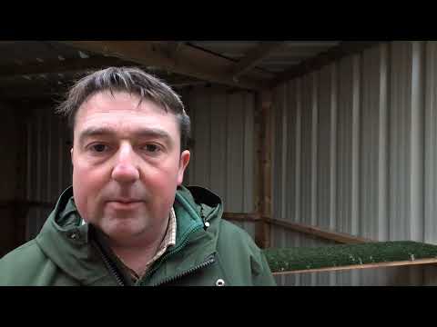 Behind the Scenes with Our New Aviaries at SMJ Falconry!