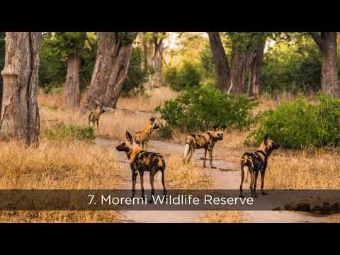 Top 10 Things to do in Botswana -