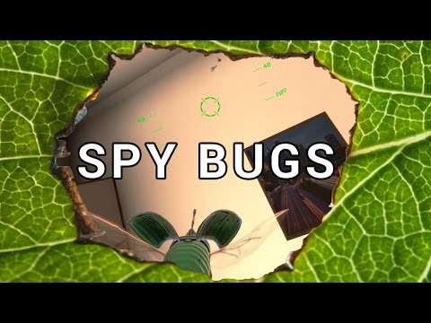 Spy Bugs