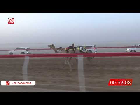 ش 4 (شاهين) لـ سالم متعب العامري 2:8 ، شارة الصندوق 2026/07/02 الروضة فطامين