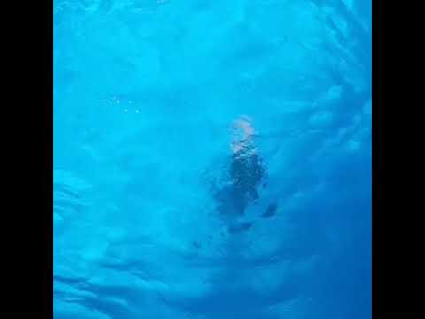 Gianluca Messina - ESTATE 2019