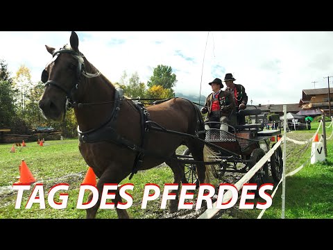 Tag des Pferdes - Reit- und Fahrverein Kirchberg in Tirol 2022