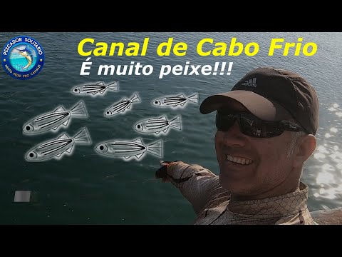 CANAL de CABO FRIO! É Muito peixe!!!!