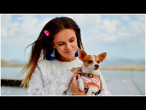 Mobile ringtone(only music tone)new Hindi Best ringtone 2020||new music ringtone 2020||new tone 2020