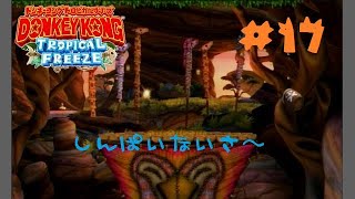 【ドンキーコングＴＦ】3－1「サバンナパレード」