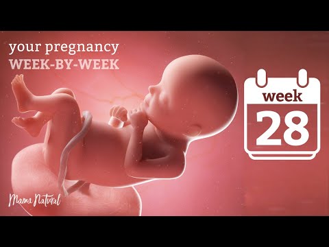 28 Weeks Pregnant - Natural Pregnancy Week-By-Week