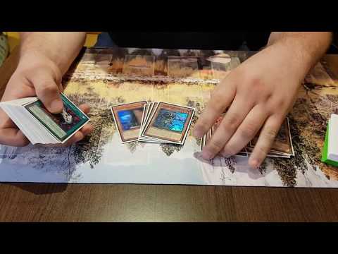 3rd Place LLDS Ludwigsburg- Jannes Wuertenberger- Pure Zoo