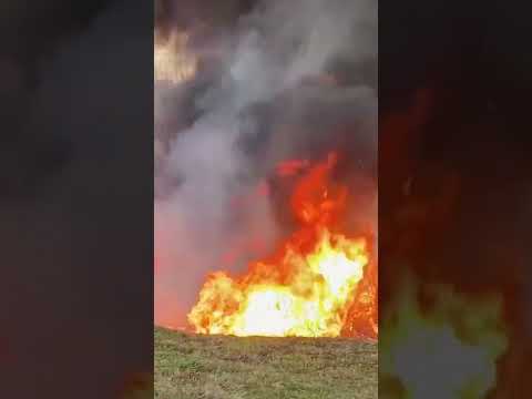 Vintage Military Flamethrowers Unleashed – M2-2, M1, M1A1, F41 #gun  #military #ww2 #marines #army