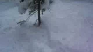 Texas Free Zone Mary Jane Vasquez Cirque 122407