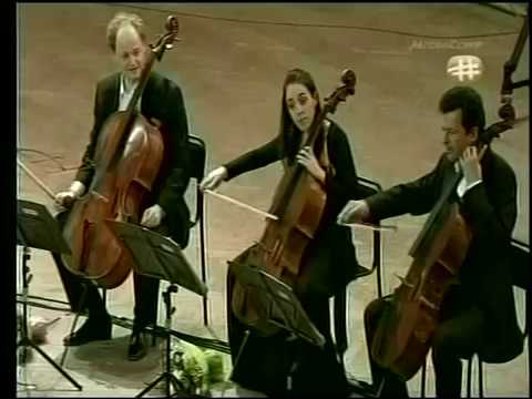 The 12 Cellists of the Berliner Philharmoniker-Mas que nada & Pink Panther