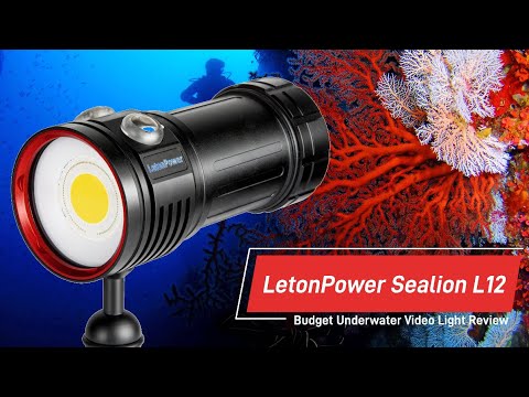 Testing the LetonPower Sealion L12. Is it the new king of BUDGET underwater video lights?