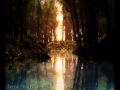 Unforscene - The World Is 