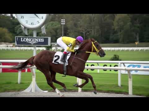230520 c04 - HOMBRE DE LA NOCHE (ARG) - HIPODROMO DE MARONAS