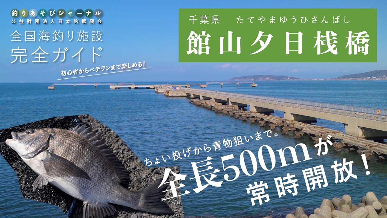釣り場の実力検証！夜釣りも可能。全長500mがいつでも釣れる！【千葉・館山夕日桟橋】