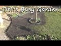 New Year, New Lawn 2 - Titli's Busy Garden 2015 ...