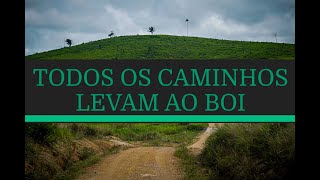 Miniatura do vídeo