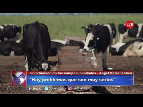 La situación actual de los campos inundados