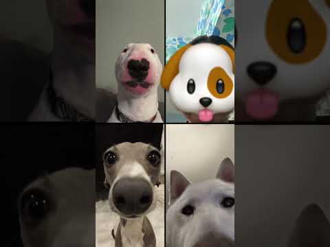 Calling my friends be like