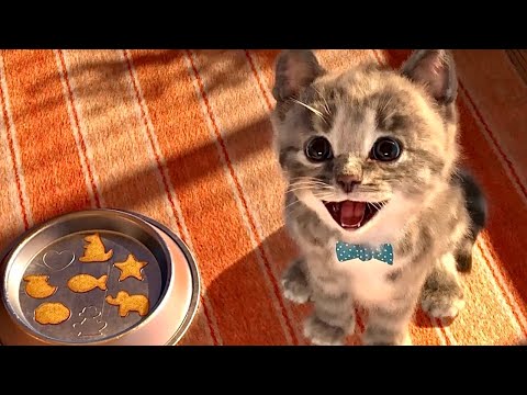 ADVENTURE CAT ANIMATED Little Kitten Preschool Adventure Pet Care Learning