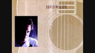 David Wilcox ~ Language of the Heart