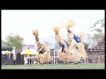 Gule Wamkulu