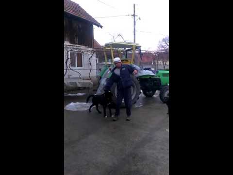 Perchesel de la ilovat