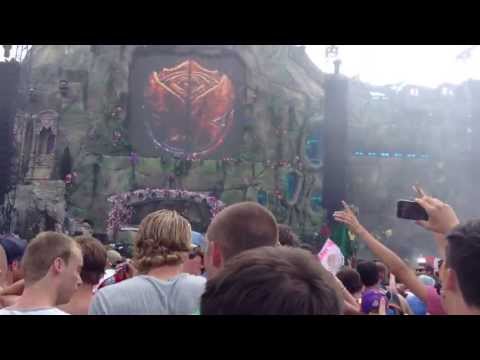 Zedd Plays 'Welcome To The Jungle' @ Tomorrowland 2013 (Mainstage)