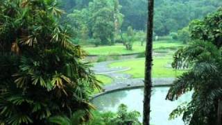 Download lagu Alfian - Semalam di Kota Bogor (mBah Wien) mp3