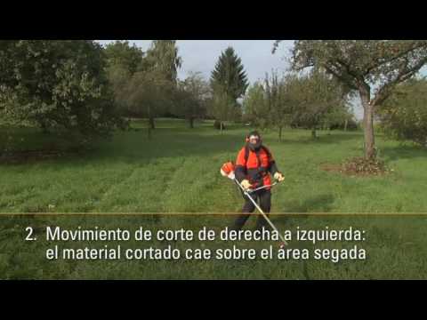 Corte de Cesped con Desbrozadora | Corte de Cesped con Motoguadaña | Consejos STIHL
