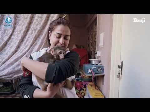 CDRS launches the "Benji Project" on Animal Welfare & Rescue | Aneela's Critter's Ark