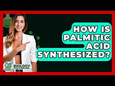 How Is Palmitic Acid Synthesized? - Biology For Everyone
