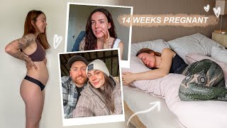 14 weeks pregnant ❤️ finding my perfect pregnancy pillow + new, strange symptoms?! *first baby*