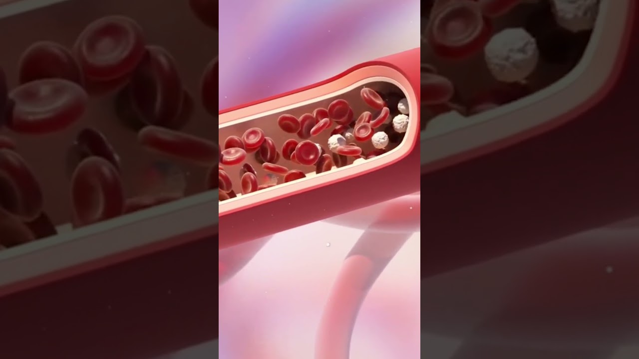 Stem Cell Therapy For Neuropathy