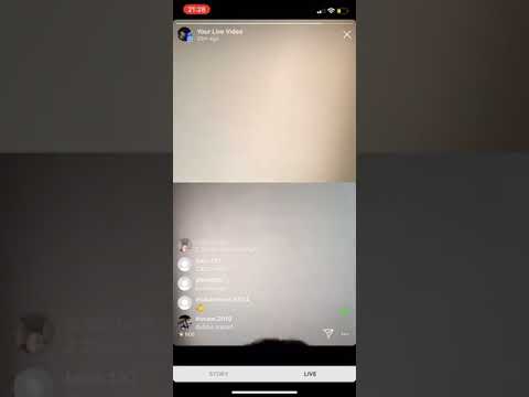 frenzo harami and little boy funny live